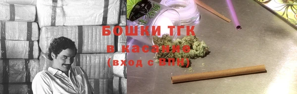 дмт Богородск