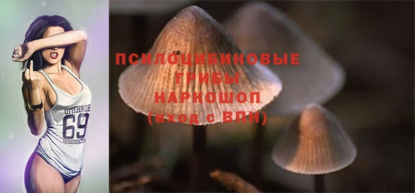 дмт Богородск