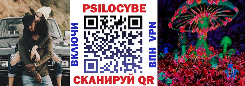 где купить наркотик Клин Псилоцибиновые грибы мухоморы